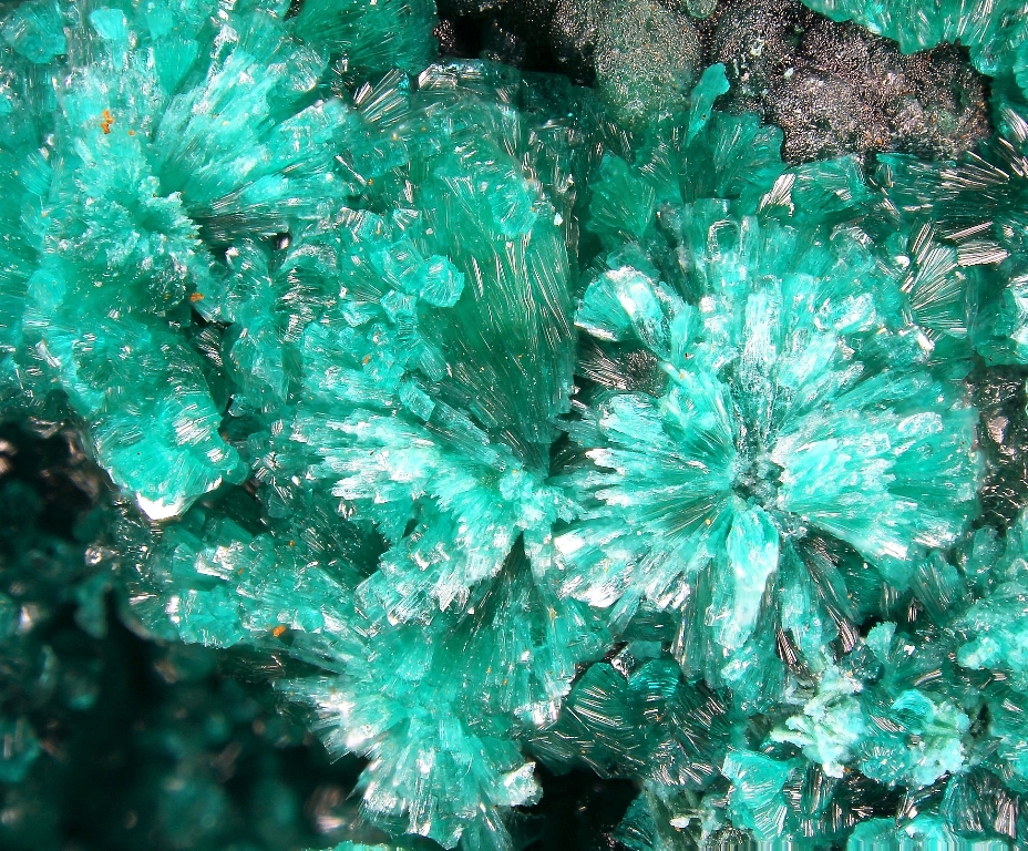 Clinotyrolite & Anatacamite