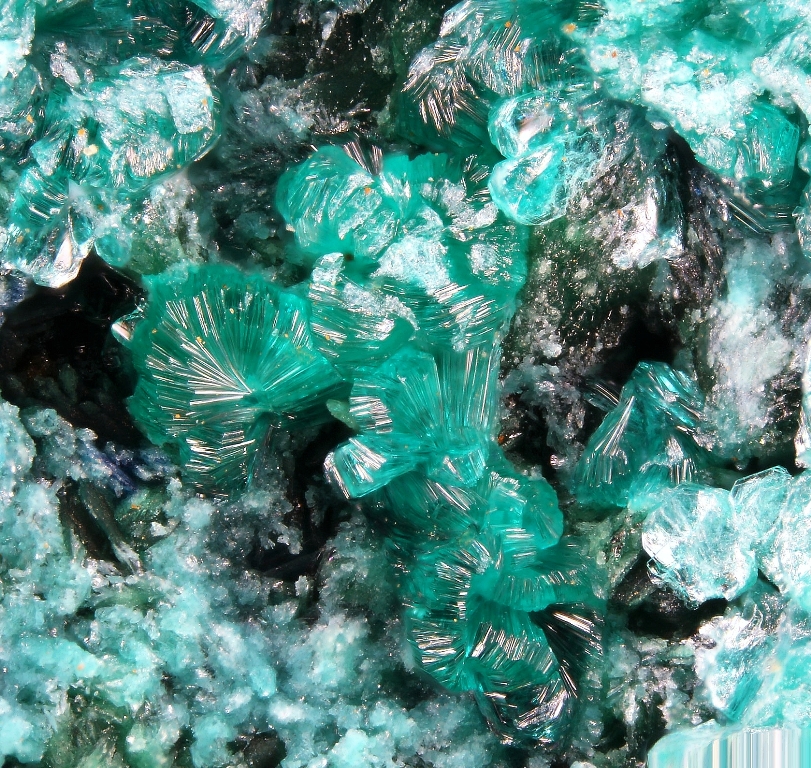 Clinotyrolite & Anatacamite