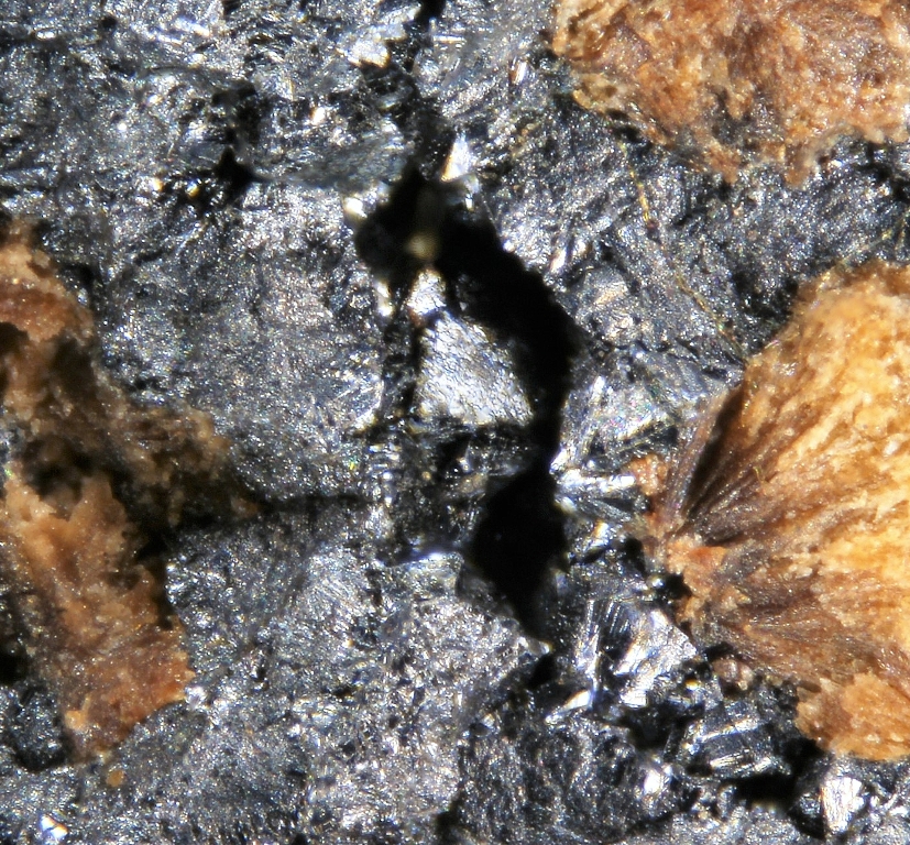 Neltnerite & Macfallite