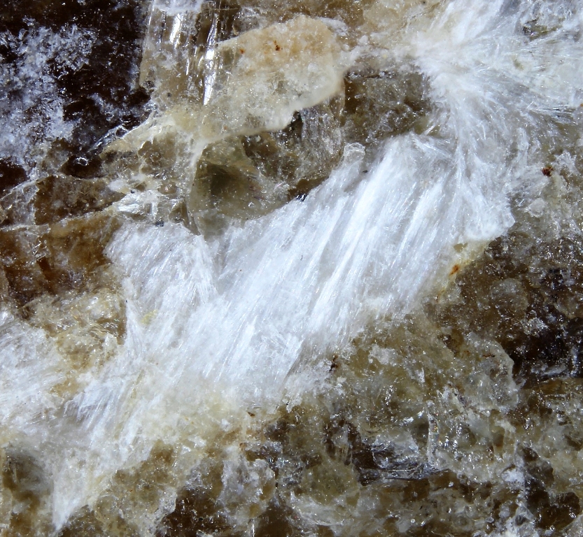 Kalborsite