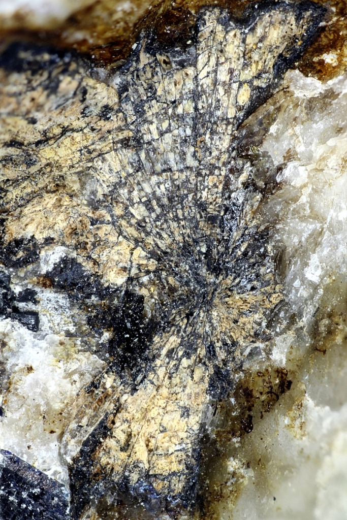 Ferronordite-(Ce)