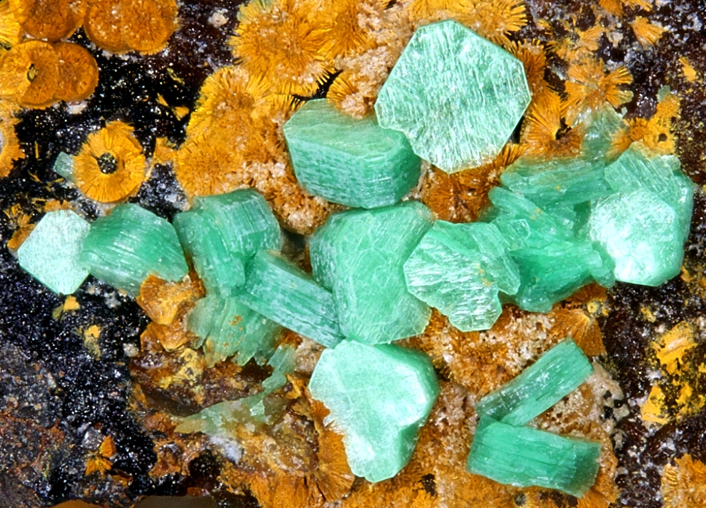 Metatorbernite On Cacoxenite