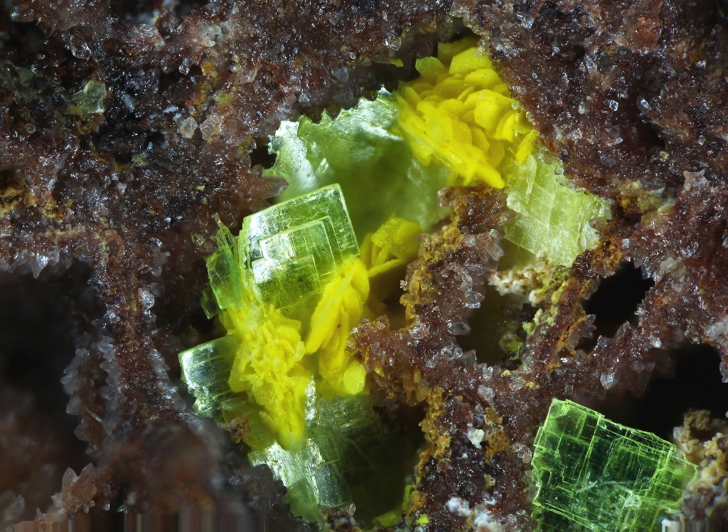 Bergenite & Uranocircite