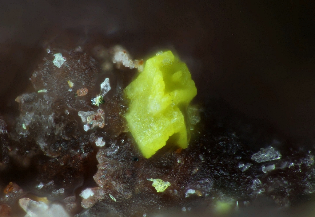 Nielsbohrite