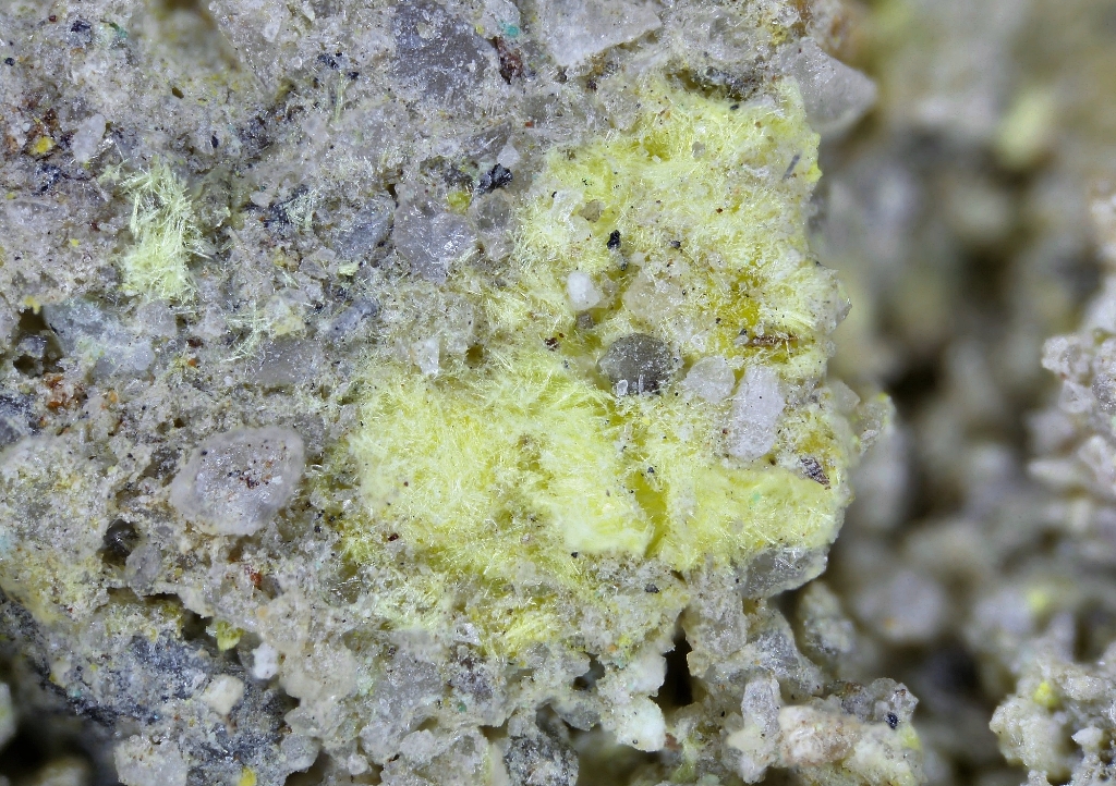 Alwilkinsite-(Y)