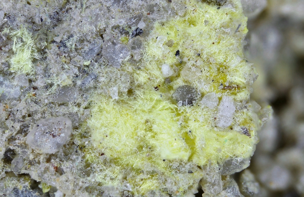 Alwilkinsite-(Y)