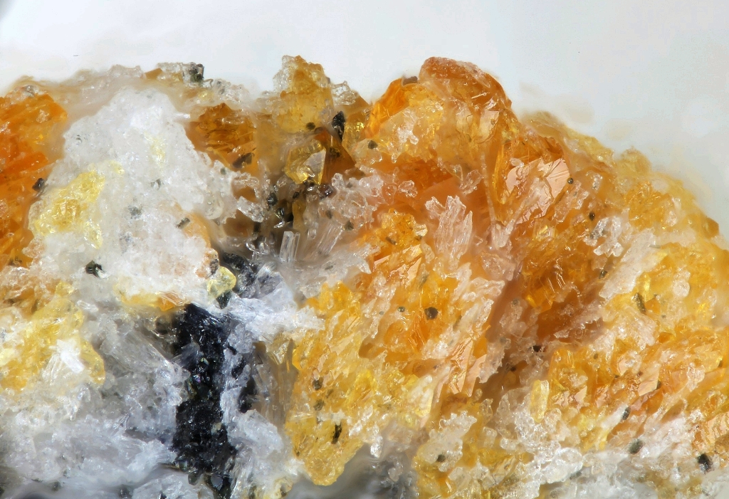 Peterandresenite