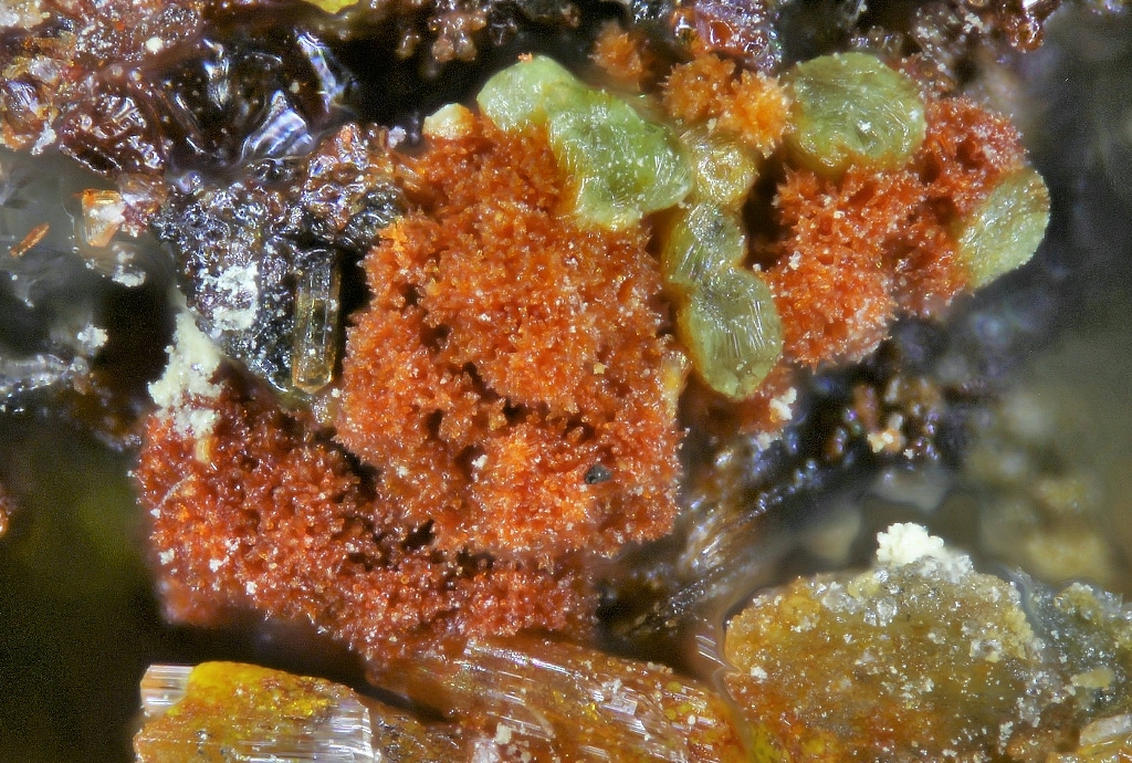 Uranosphaerite Zellerite & Blatonite