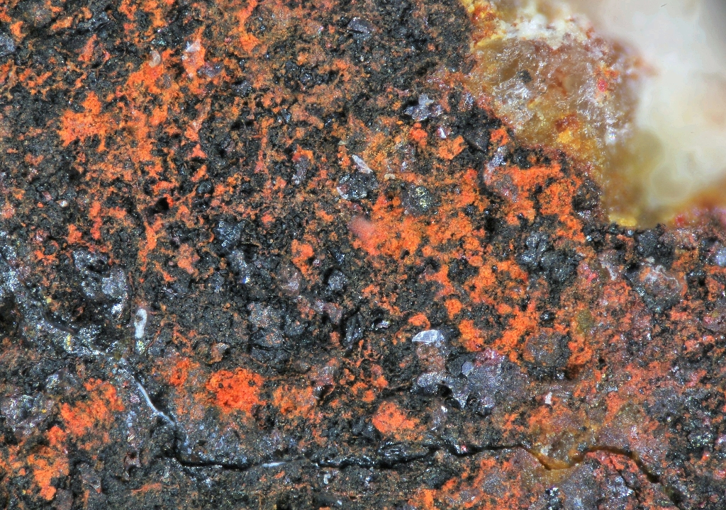 Calomel Coccinite & Native Mercury