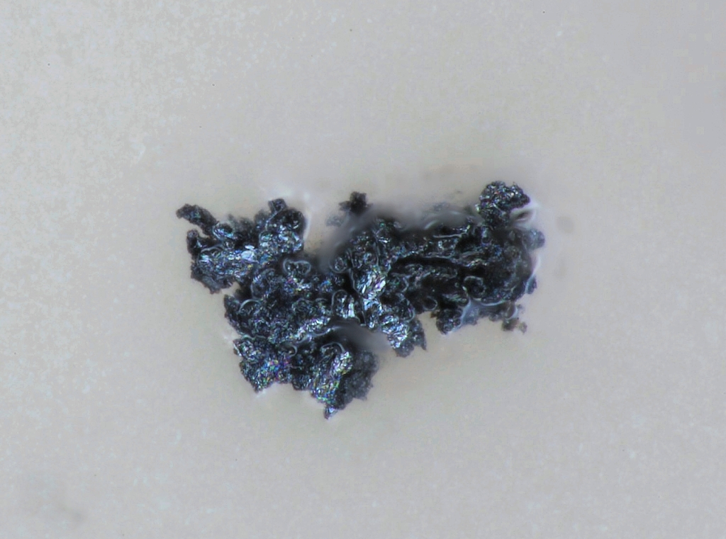 Ekplexite