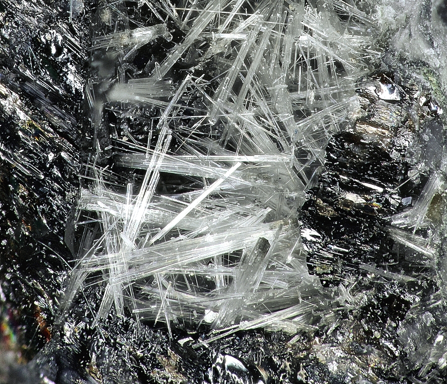 Korobitsynite