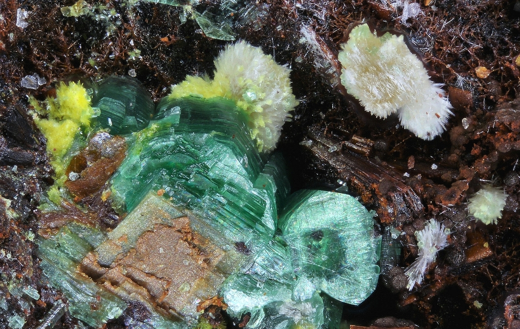 Metavanmeersscheite Churchite-(Y) & Metatorbernite