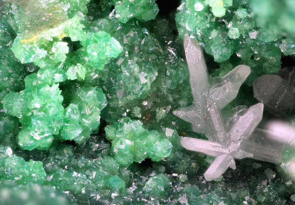 Arsentsumebite & Cerussite