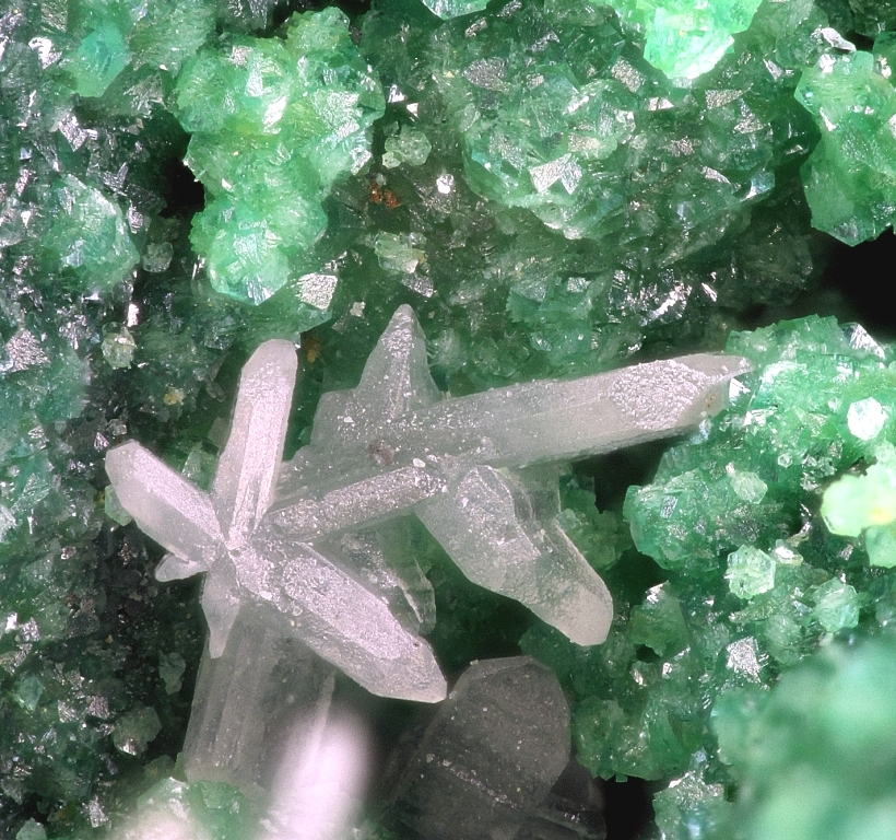 Arsentsumebite & Cerussite