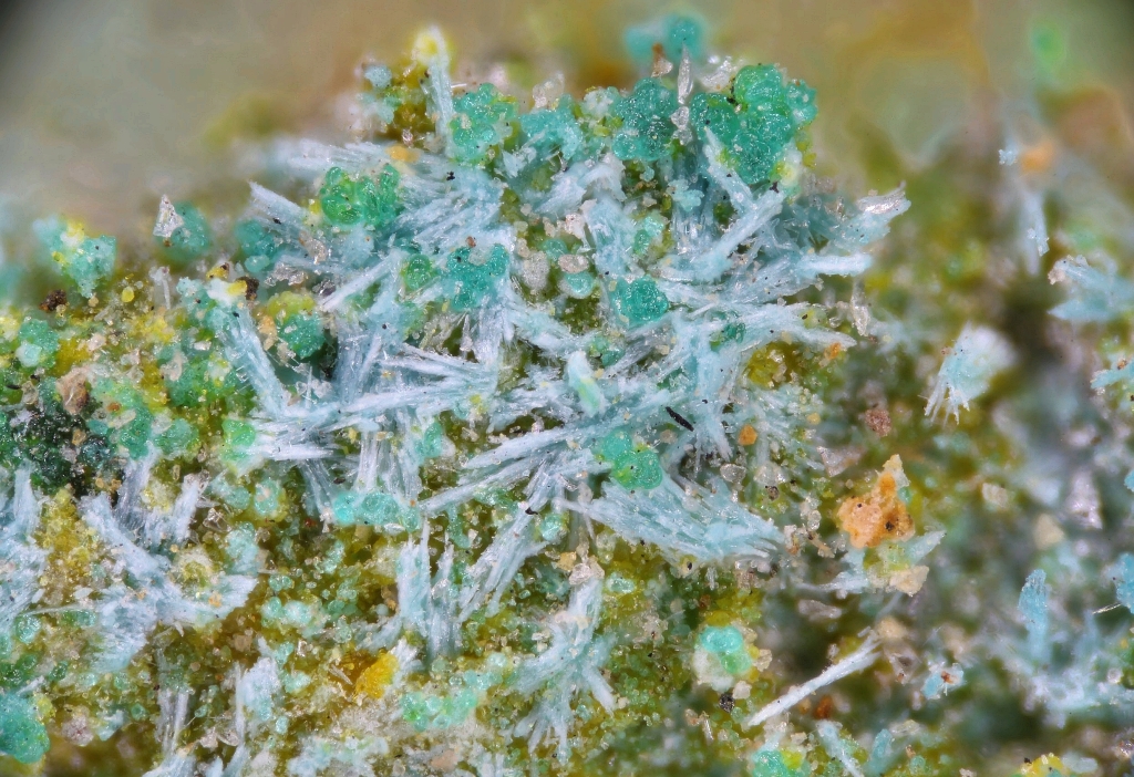 Gerhardtite Ammoniozippeite & Atacamite