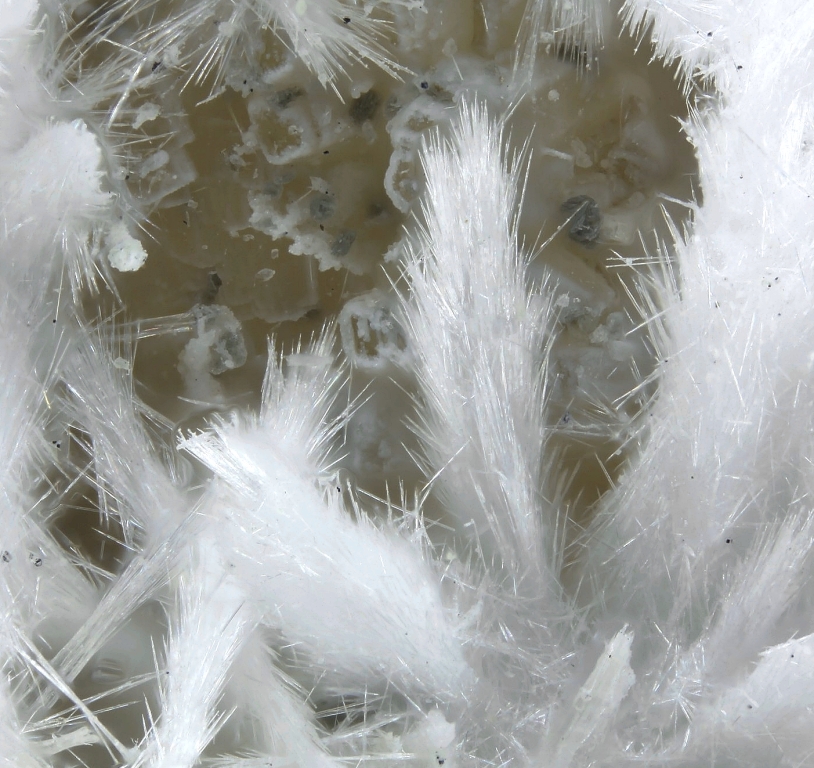 Kasatkinite