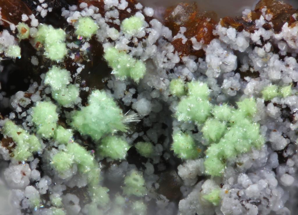 Attikaite Arsenocrandallite Olivenite & Conichalcite