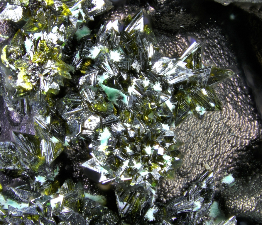 Segnitite