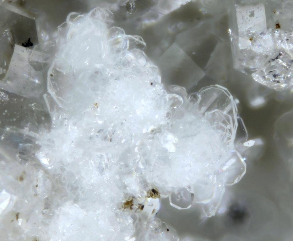 Brannockite