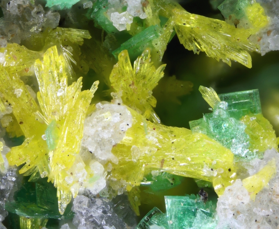 Renardite & Metatorbernite