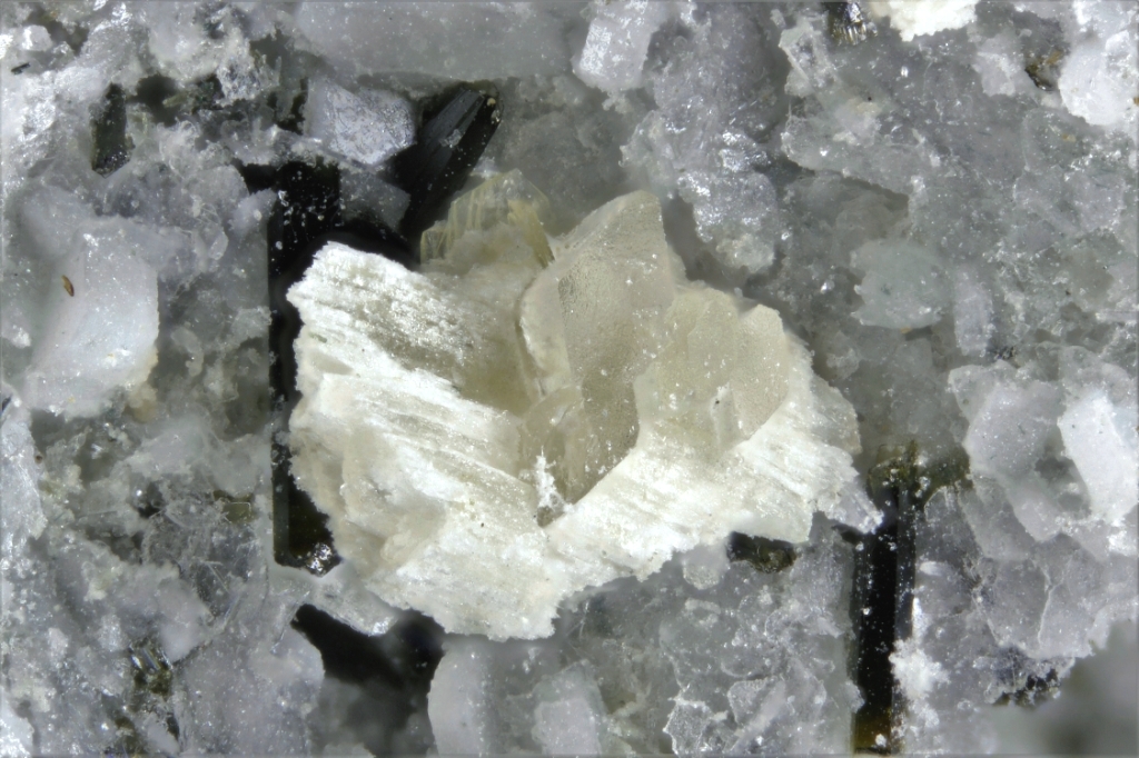 Korobitsynite