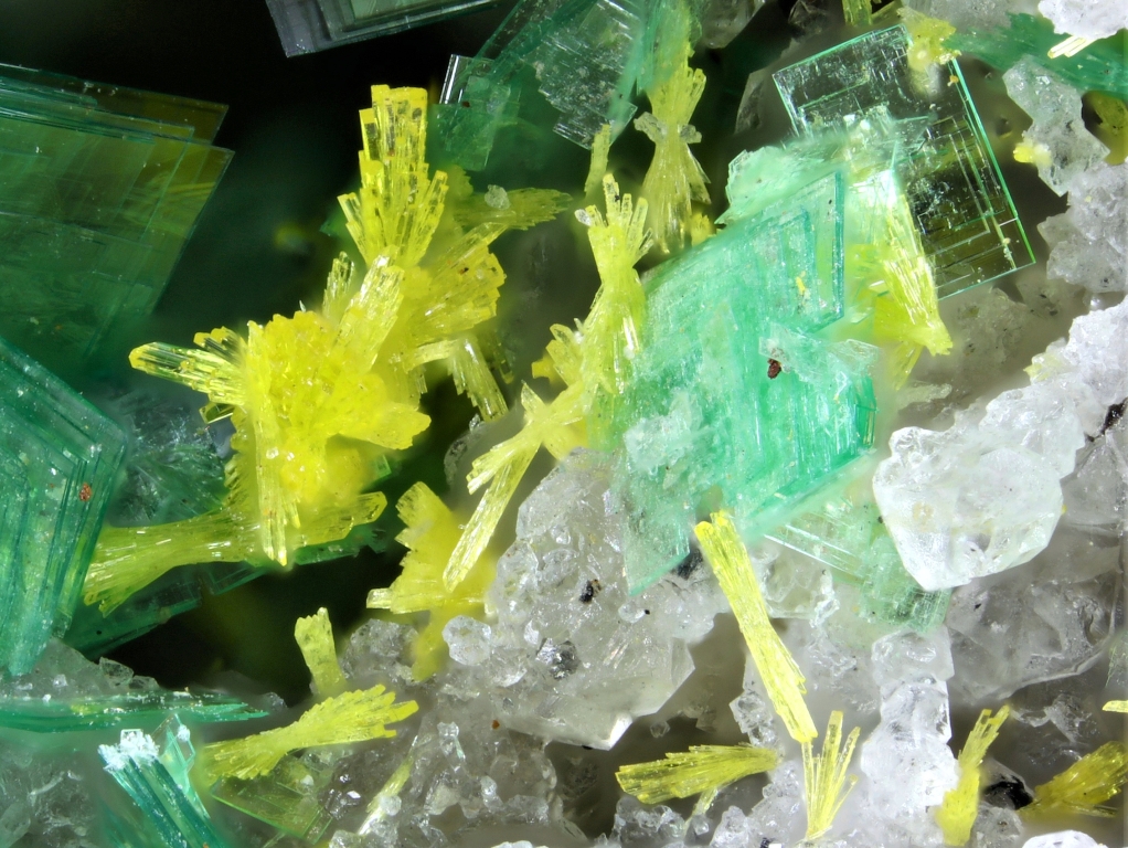 Renardite & Metatorbernite