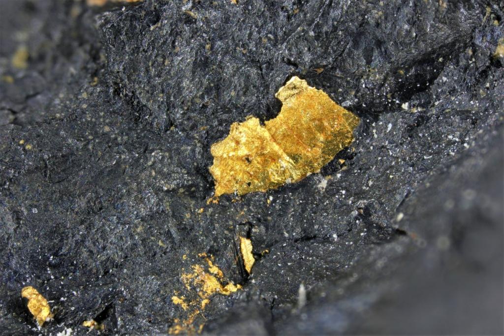 Native Gold On Uraninite