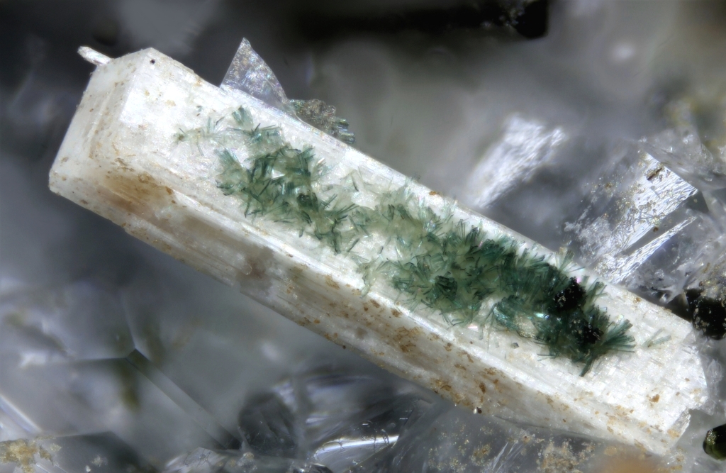 Ferroceladonite & Sazhinite-(La)