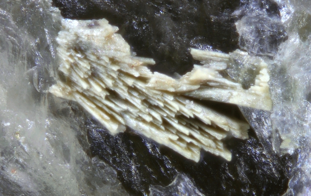 Phosphowalpurgite