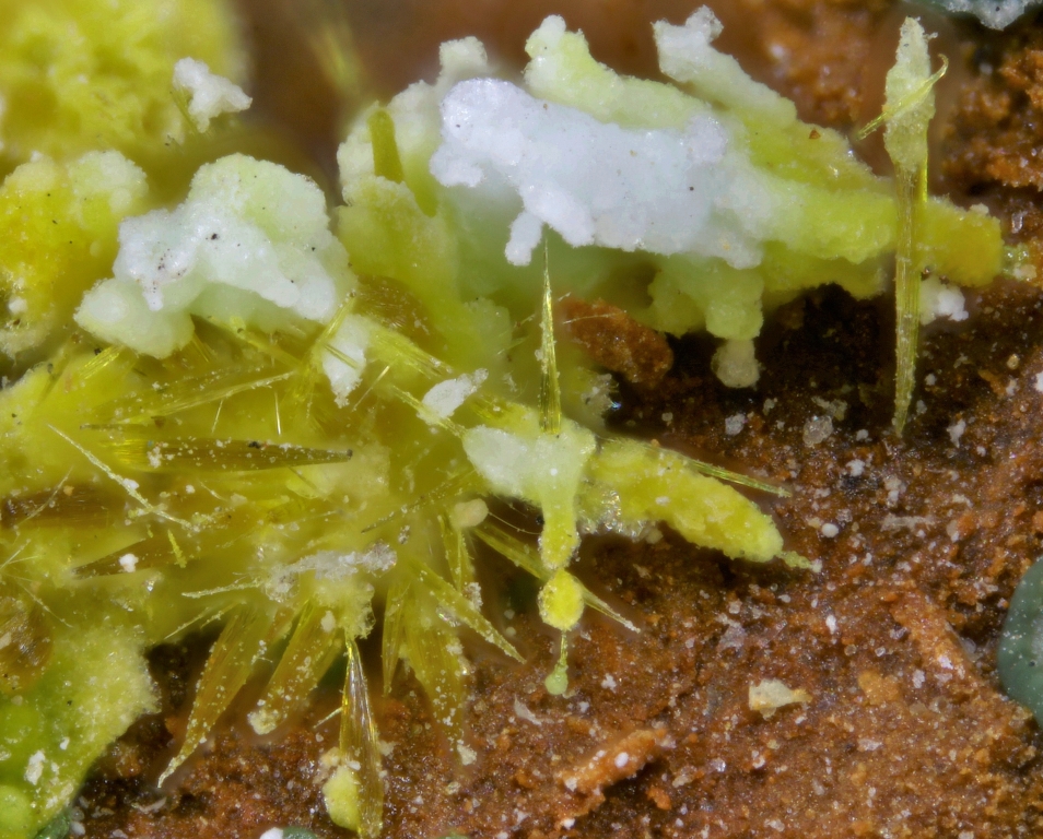 Leesite Blatonite & Mbobomkulite