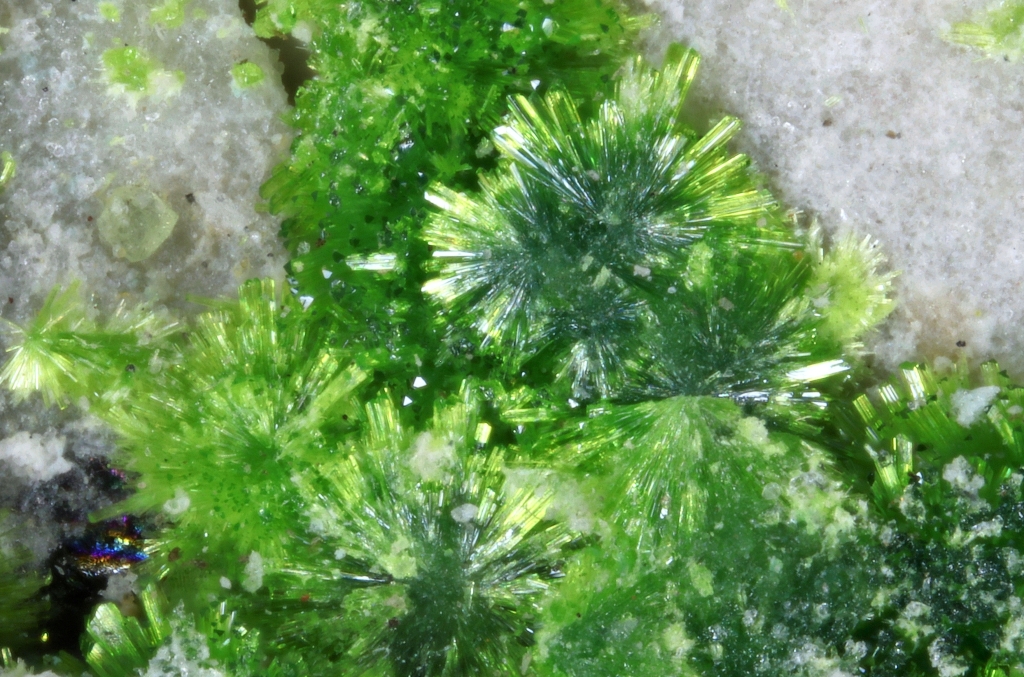 Arthurite & Chalcanthite