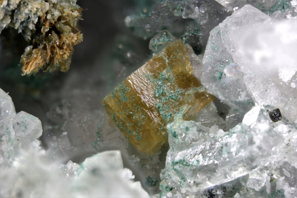 Arisite & Ferroceladonite