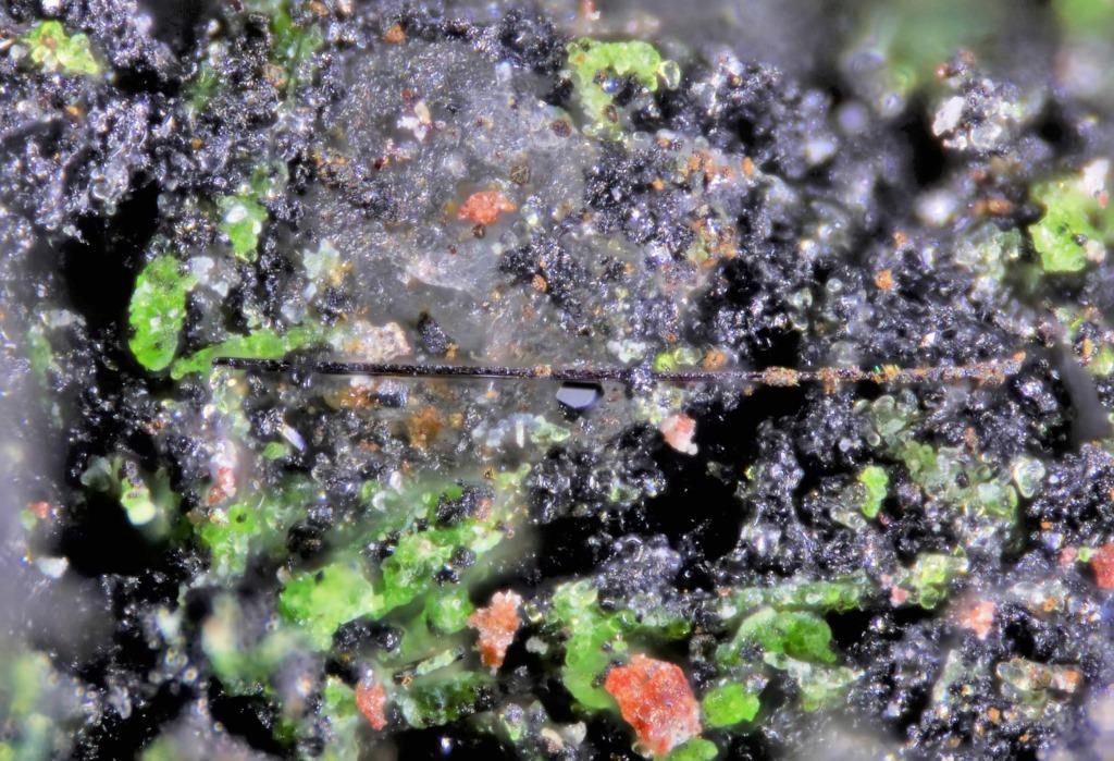 Pseudolyonsite & Piypite