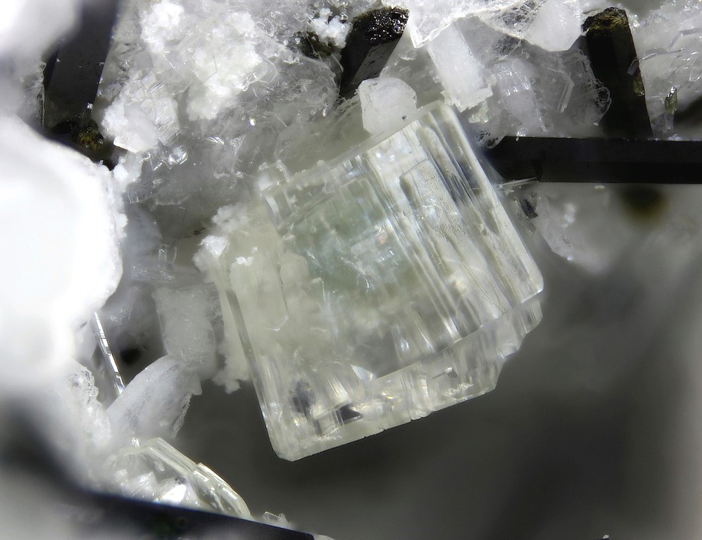 Korobitsynite