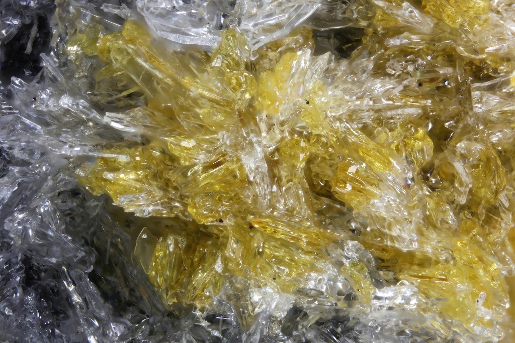 Schäferite