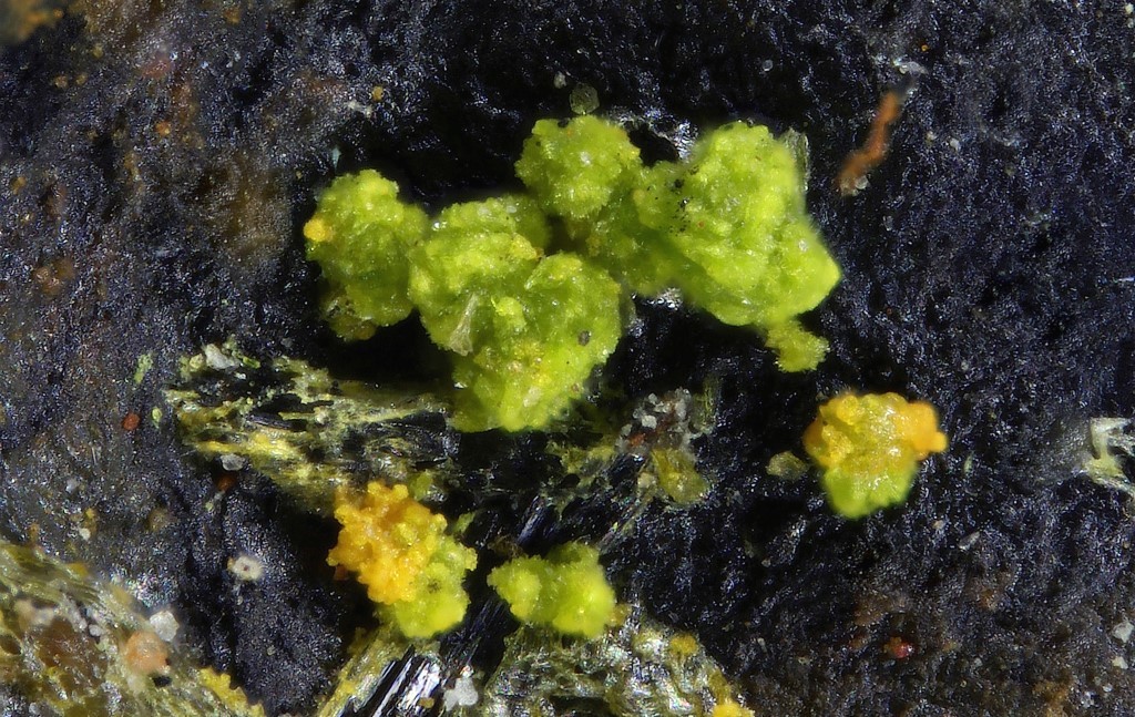 Pseudojohannite