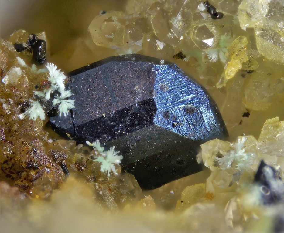 Wittichenite