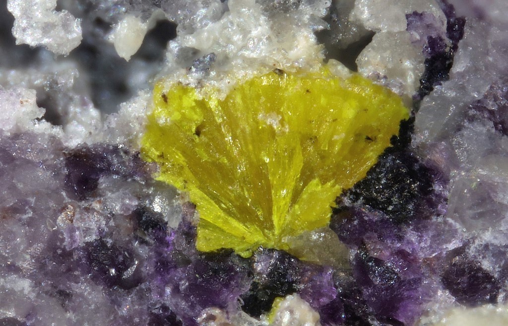 Carnotite