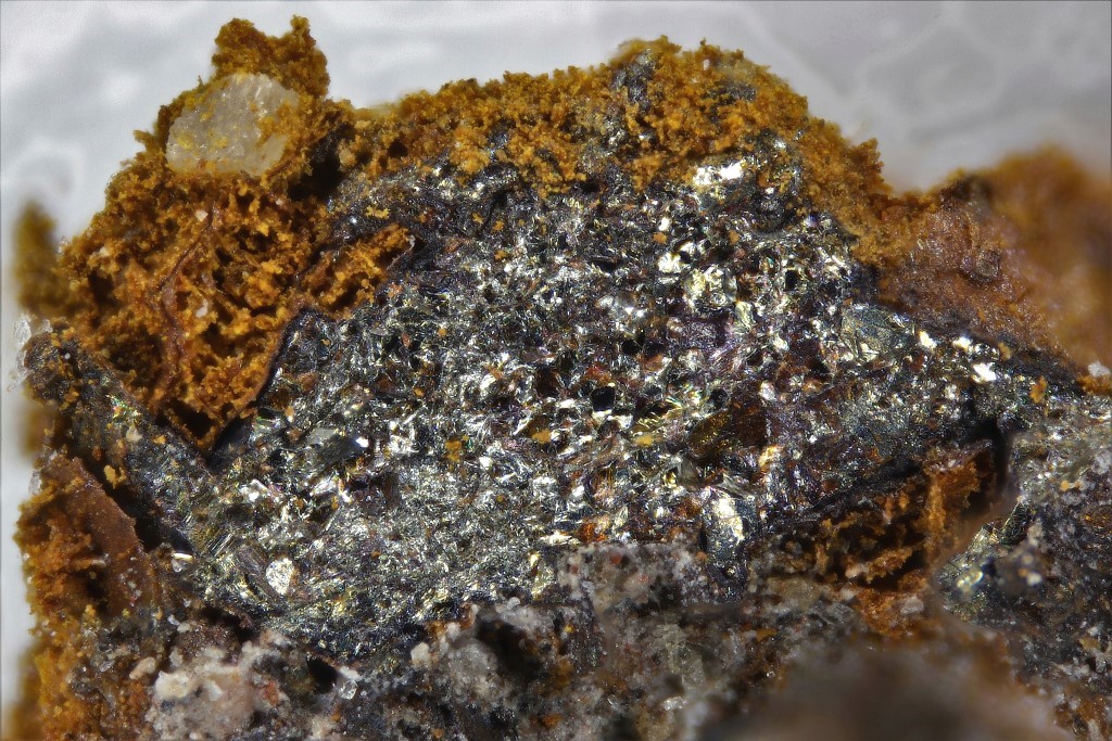 Bornhardtite & Trogtalite In Clausthalite