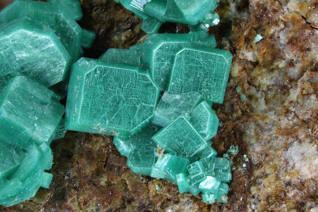 Metatorbernite