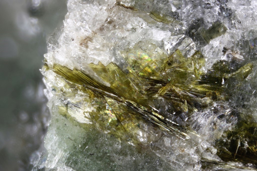 Lobanovite