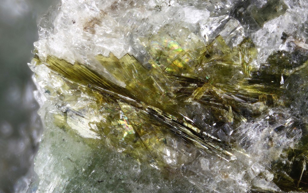 Lobanovite