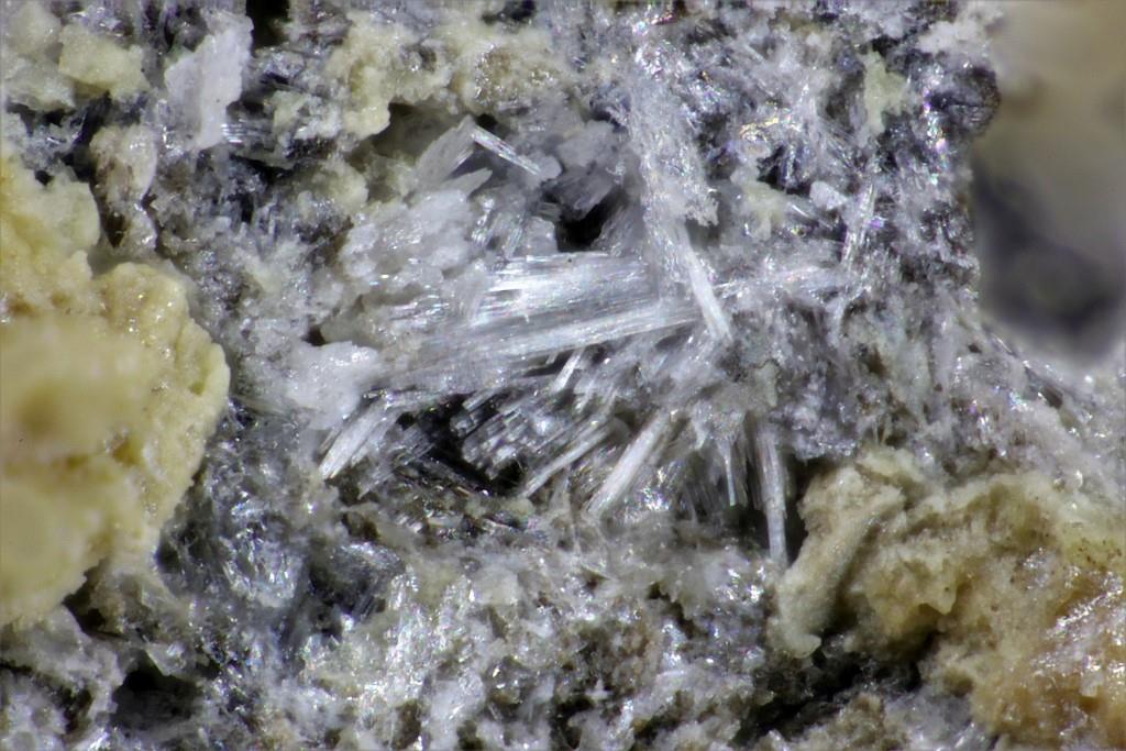 Schultenite