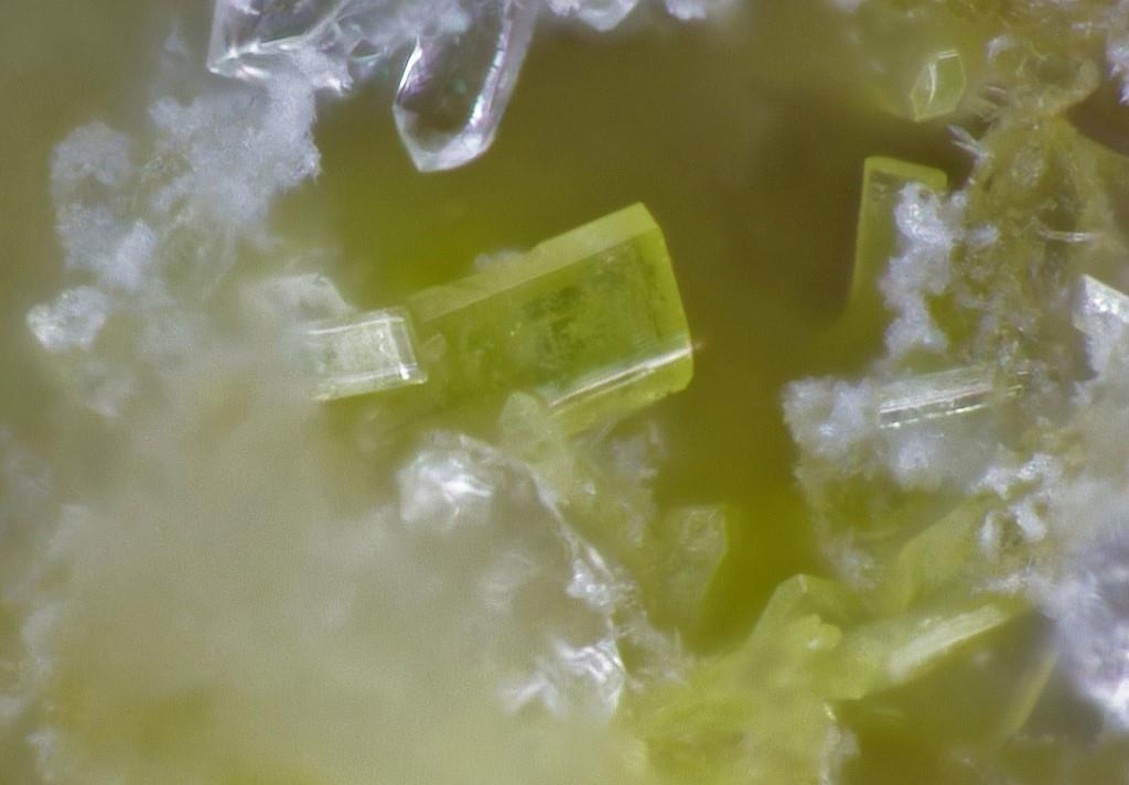 Hallimondite