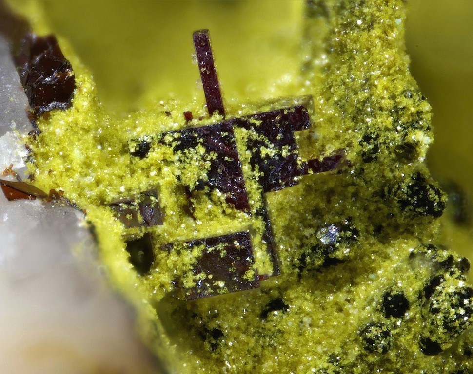 Beaverite-(Cu) Cuprite & Antlerite