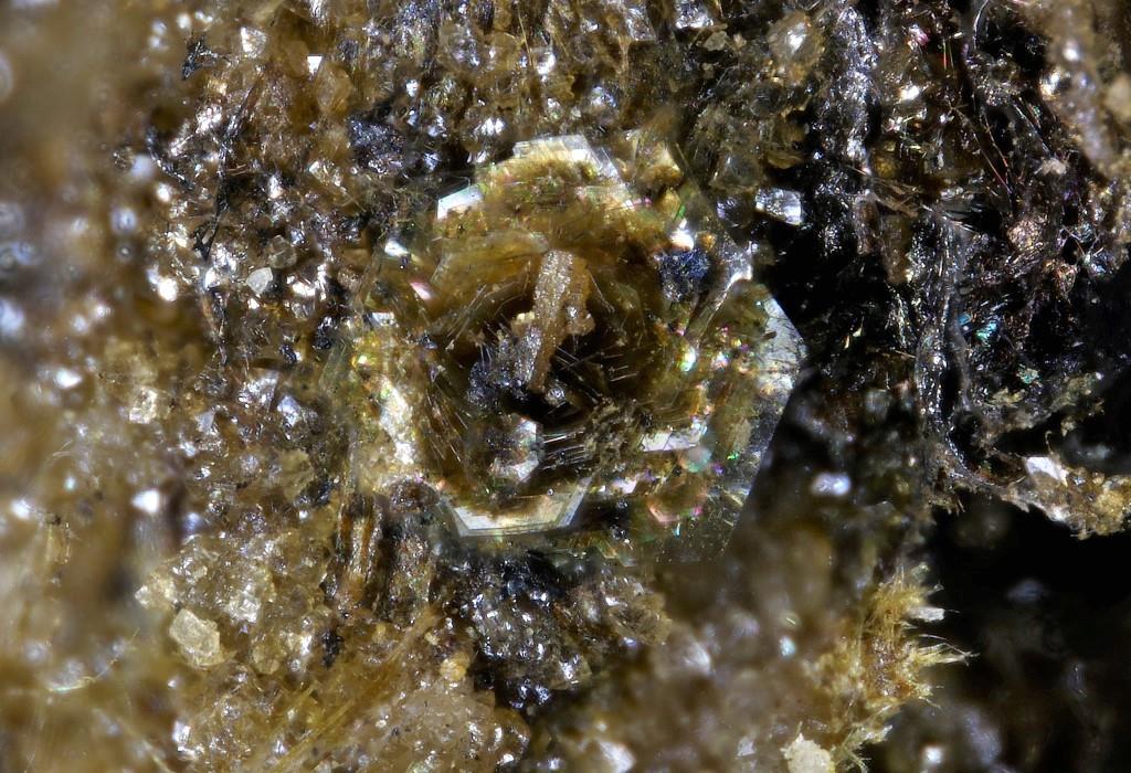 Hauckite