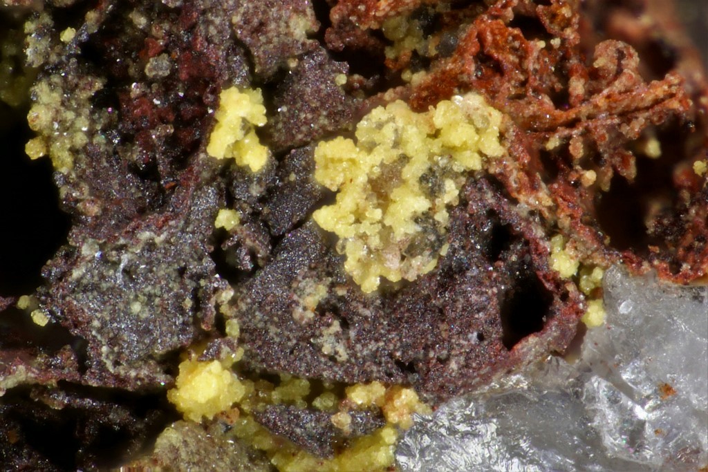 Ferribushmakinite & Fluorwavellite