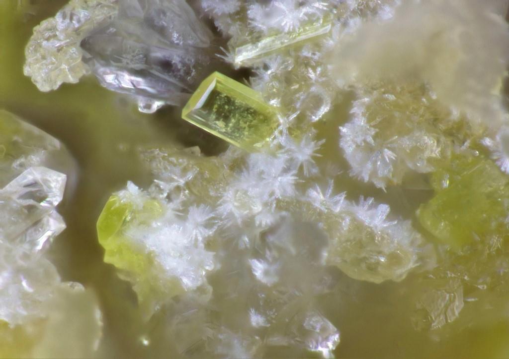 Hallimondite & Widenmannite