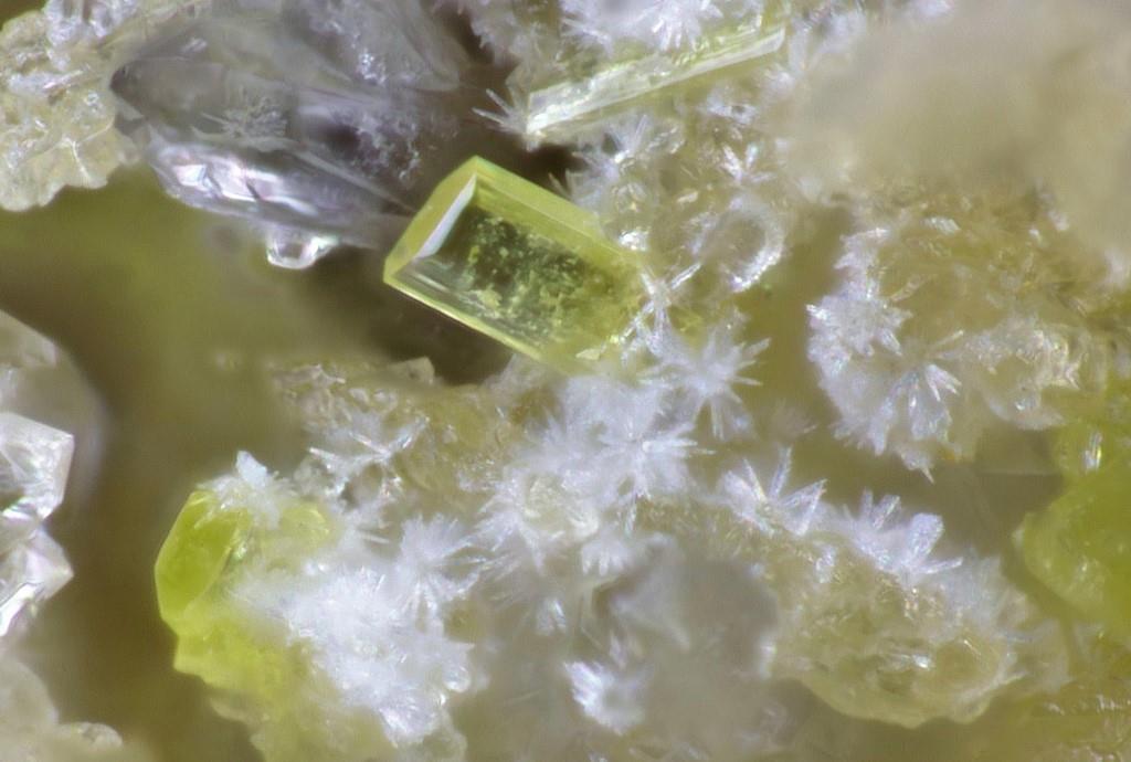 Hallimondite & Widenmannite
