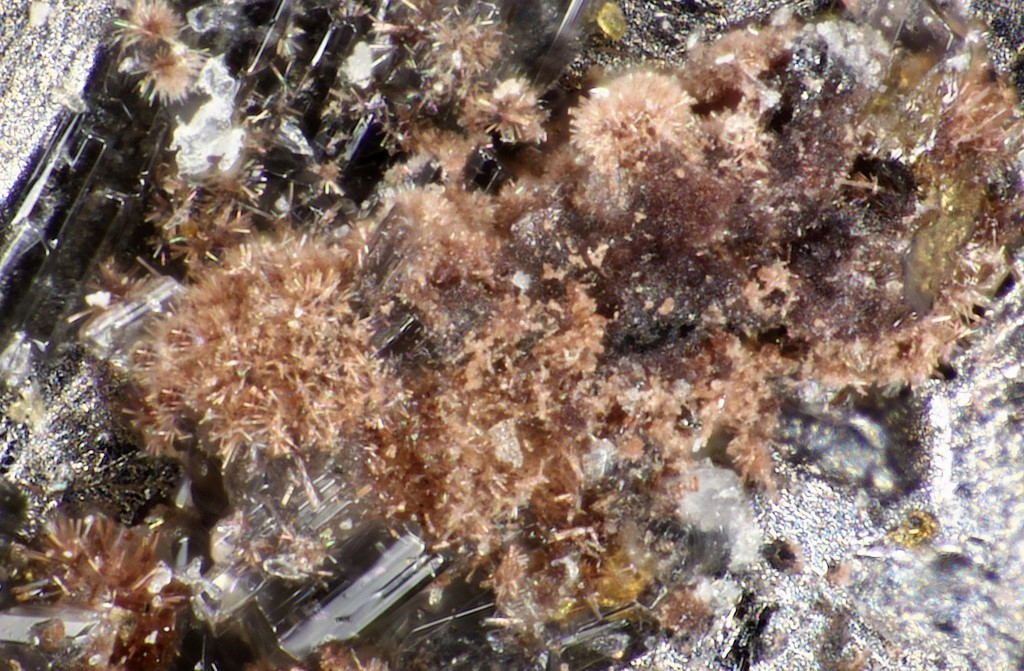 Raisaite & Ilirneyite